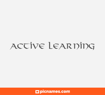 Active Learning